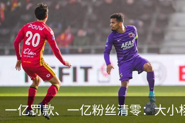一亿罚款、一亿粉丝清零：大小杨哥回来，但直播间早就不等他们了