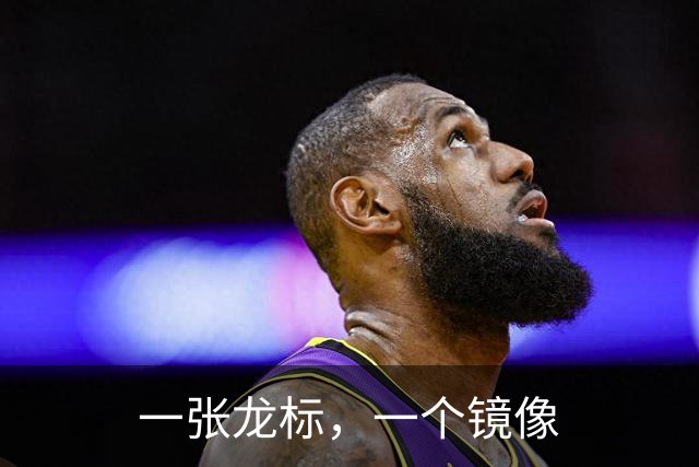 一张龙标，一个镜像